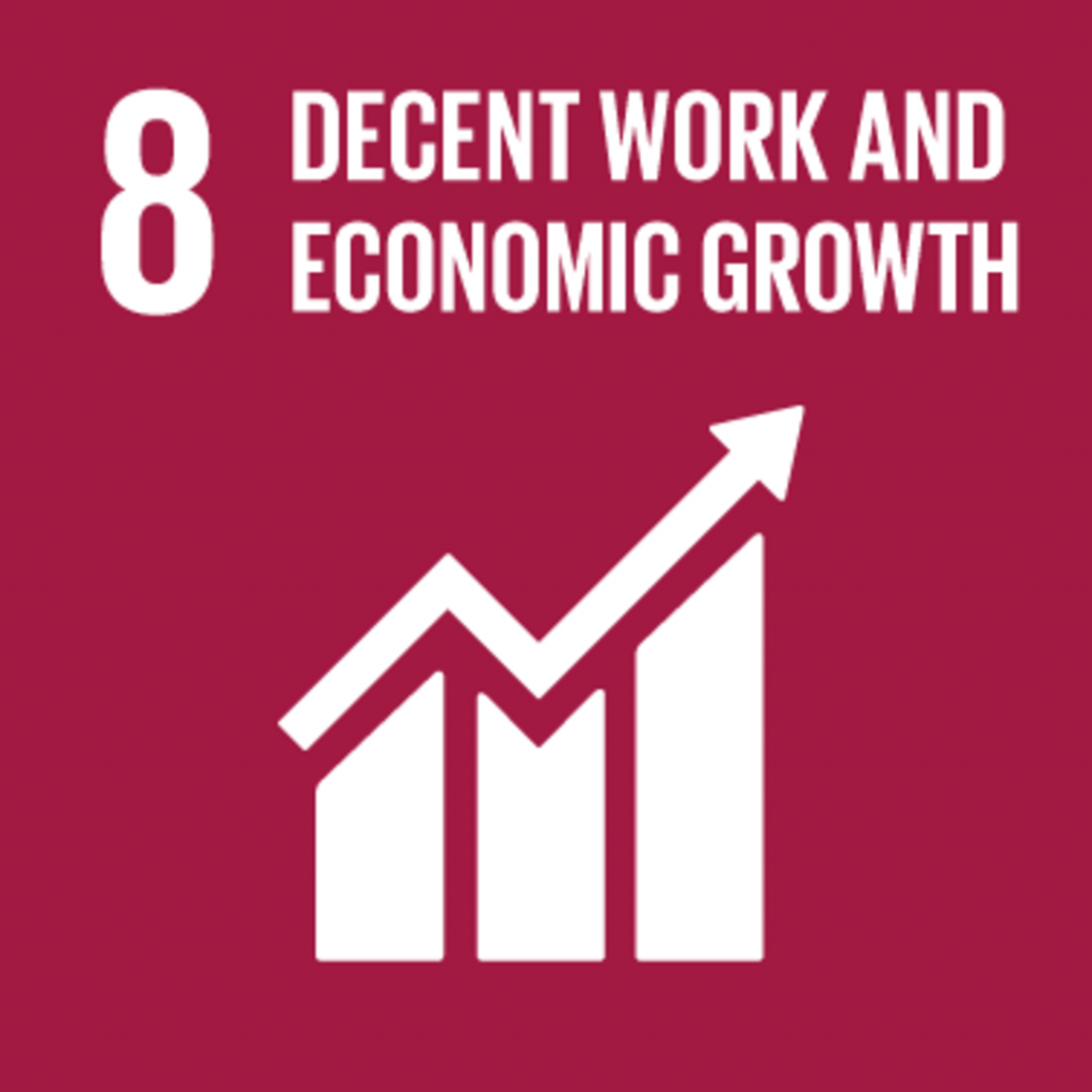 UN Sustainable Development Goal Number 8 - Decent Work and Economic Growth